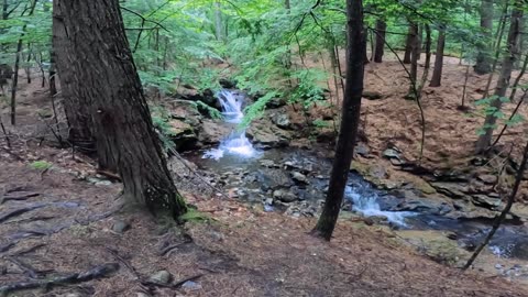 Cascades