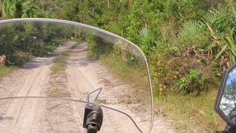 Sandy Riding