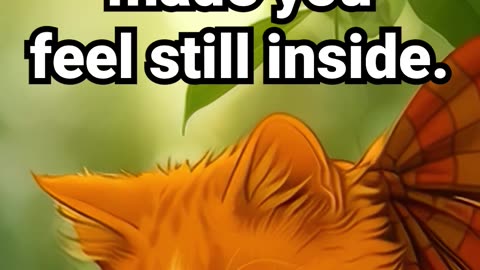 Comment if this light made you feel still inside #peacefulsounds #natureambience #motivation