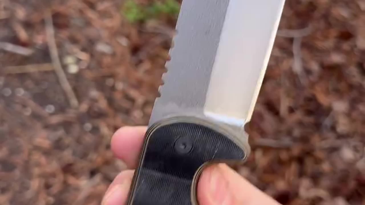 Overview of the 2025 Shed Knives VISIONARY!