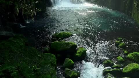 a criaçao do mundo.mp4