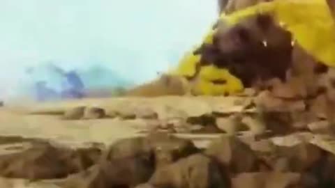 McDicken. Space Hollow? Ep. (229)? Heard you talk s**t bro.