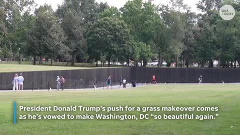 President Trump targets DC’s aging grass in push to beautify capital