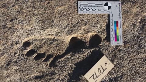 The Most Controversial Footprints in the World