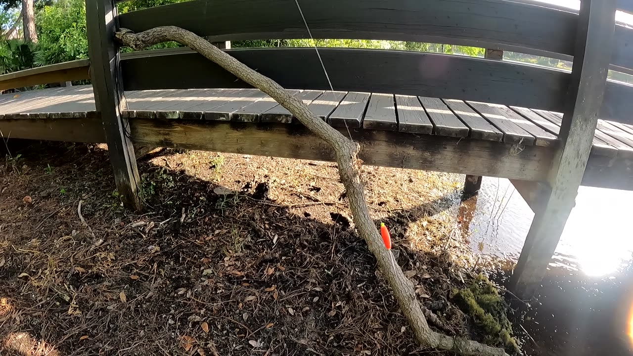 Bass fishing