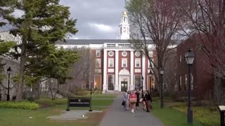 Trump administration halts new student visa appointments