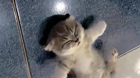 Sleeping is my favorite hobby