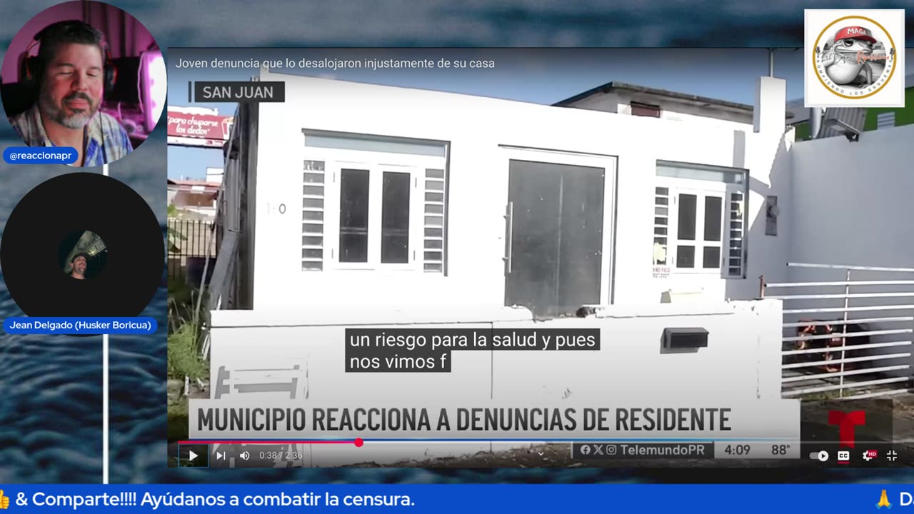 PfkR Es Lechones, Conejos Y Guacamayos.