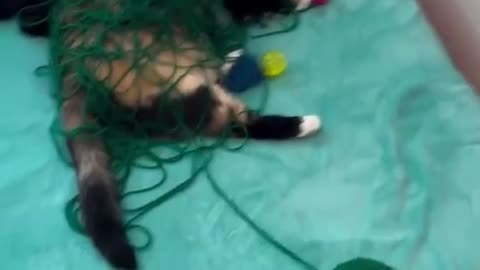 All tied up in knots 🤣