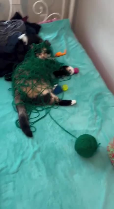 All tied up in knots 🤣