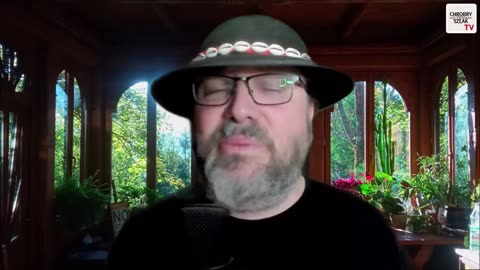Korwin senatorem? - Sebastian Pitoń