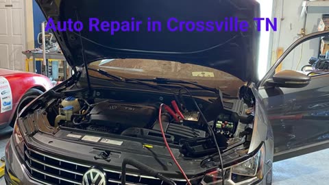 Animal Speedwerks - Auto Repair in Crossville, TN