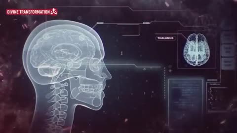 THEY HAVE ARRIVED! HYBRIDS OF ANIMALS AND HUMANS CREATED IN A LAB