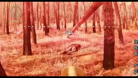 War in ukraine