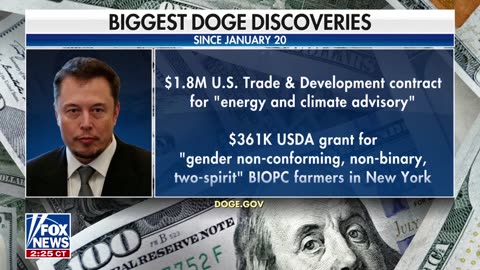 DOGE is uncovering 'absolutely ludicrous' things 'every single day