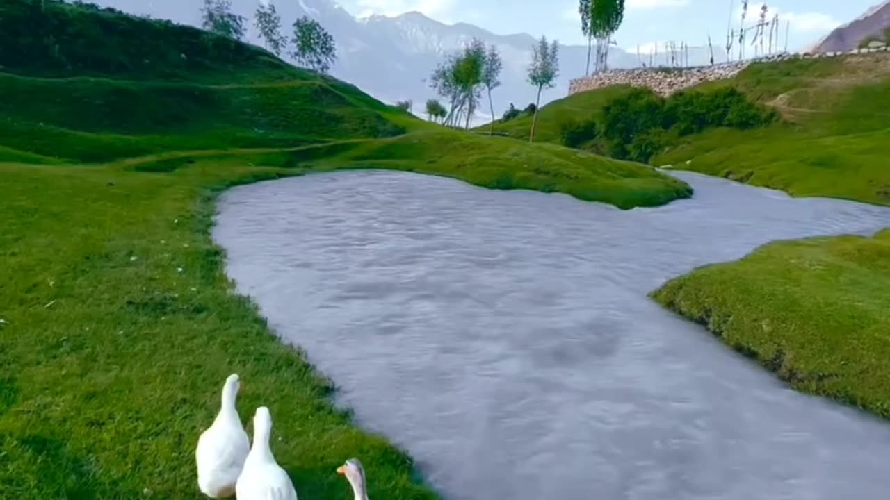 MoOminooo