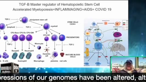 At the heart of all chronic disease is inflammaging