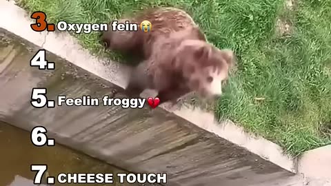 funny ass video