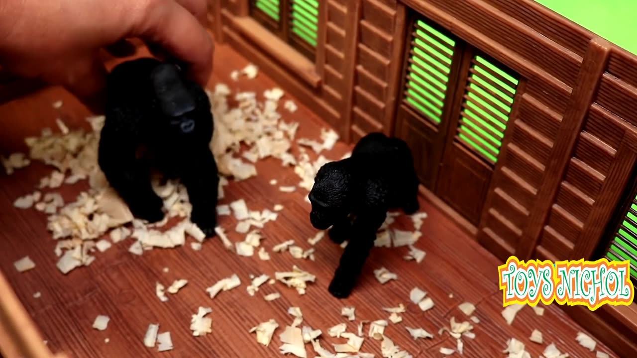 All Kinds of African Animals are in this Small Park