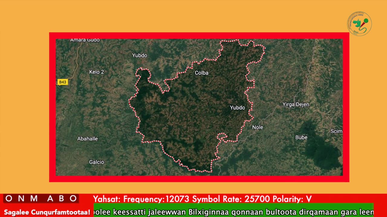Oduu Waaree ONM-ABO Hagayya 23-2025 itti dhiyaadhaa!