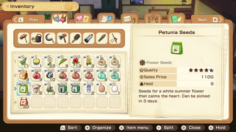 🌳🐄 Story of seasons: Grand Bazaar🐓🌾