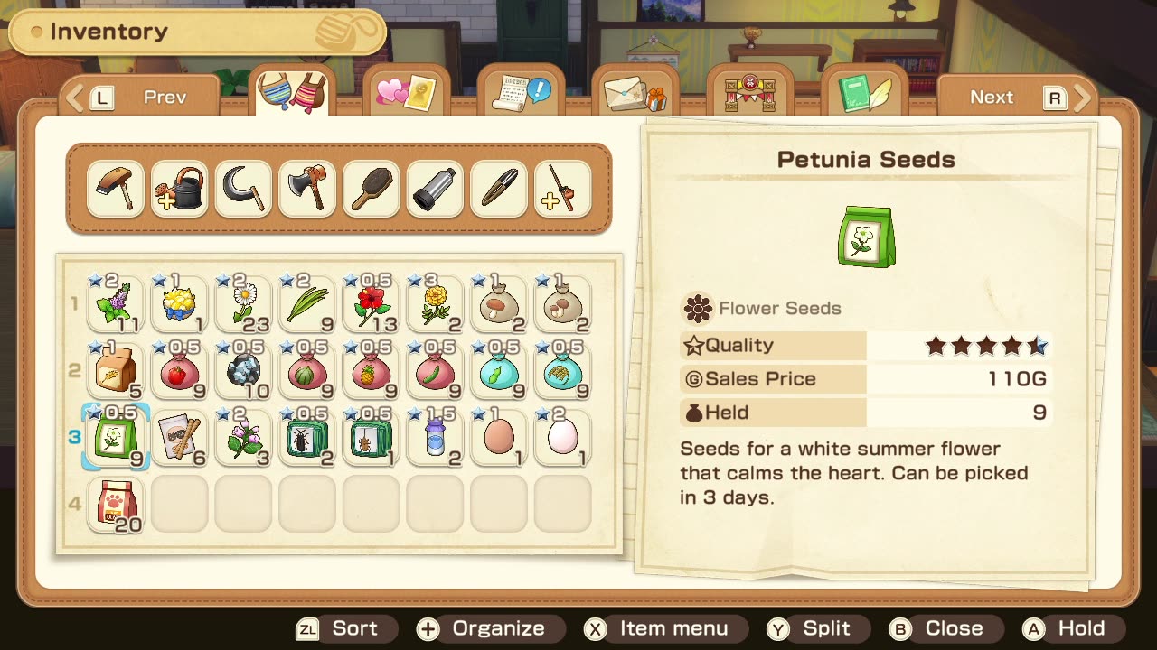 🌳🐄 Story of seasons: Grand Bazaar🐓🌾