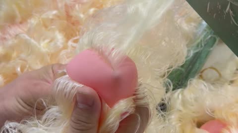 Curly Blonde Doll Hairs Sewn Into Toy Head
