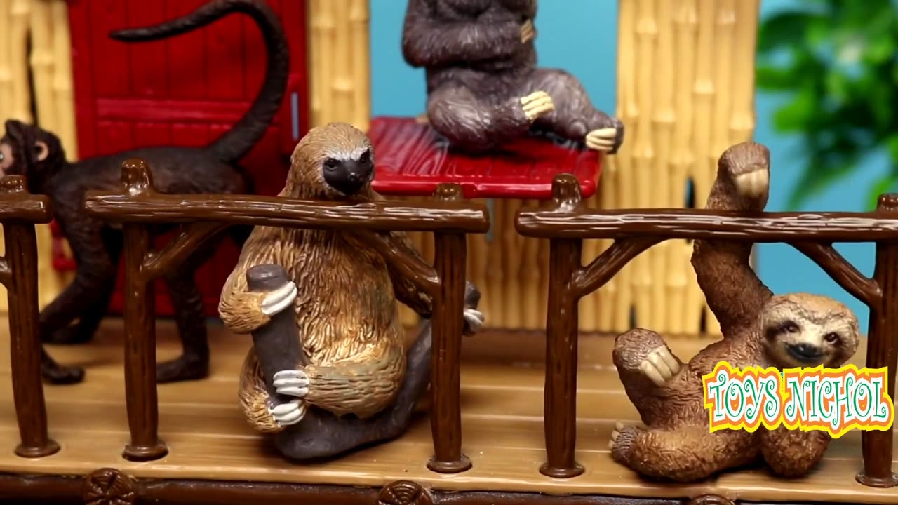 Chimpanzee Dancing on the House and Taking Bananas Inside the House