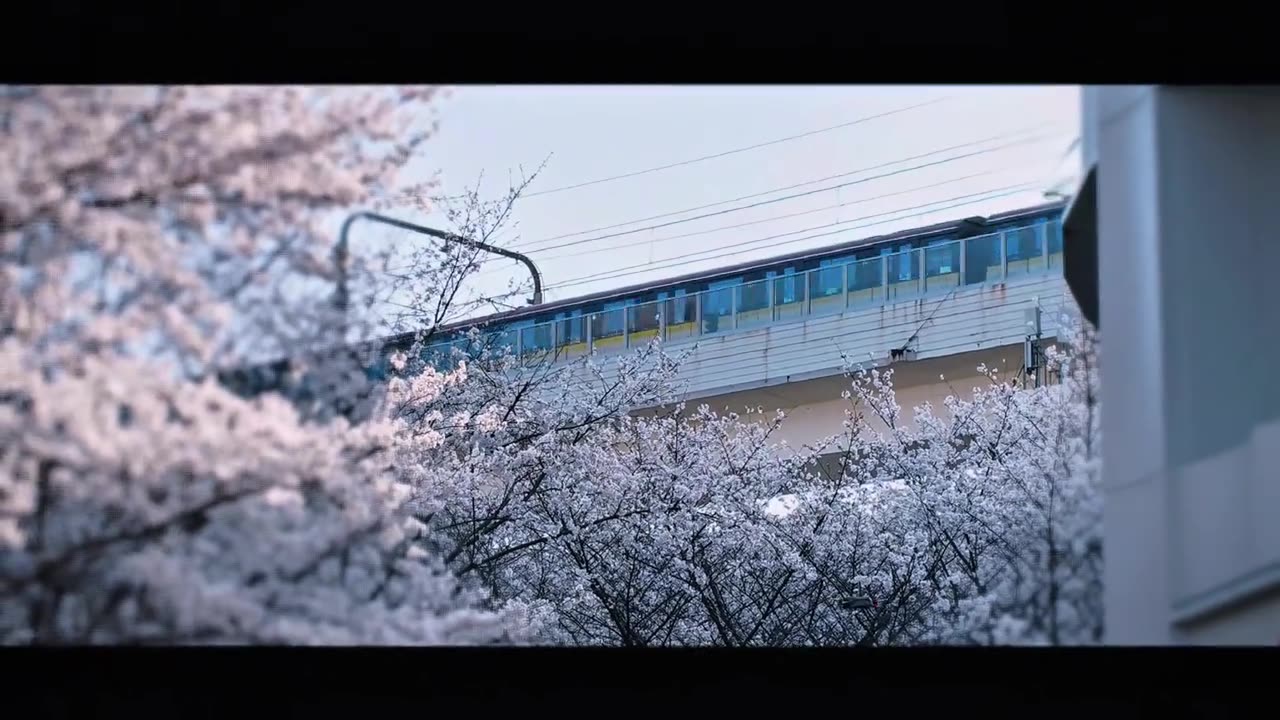 Scenic Beauty: The Train to Spring