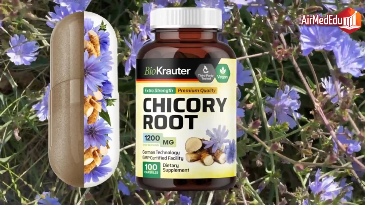 Chicory Root, 30 Health Benefits