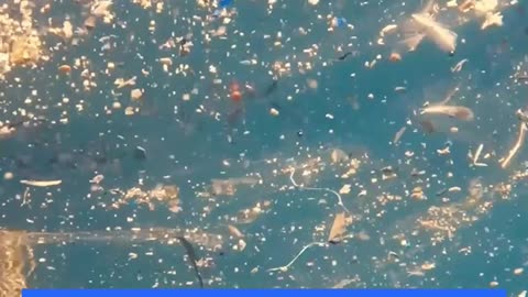 Plastic is EVERYWHERE- Even in the Air We Breathe