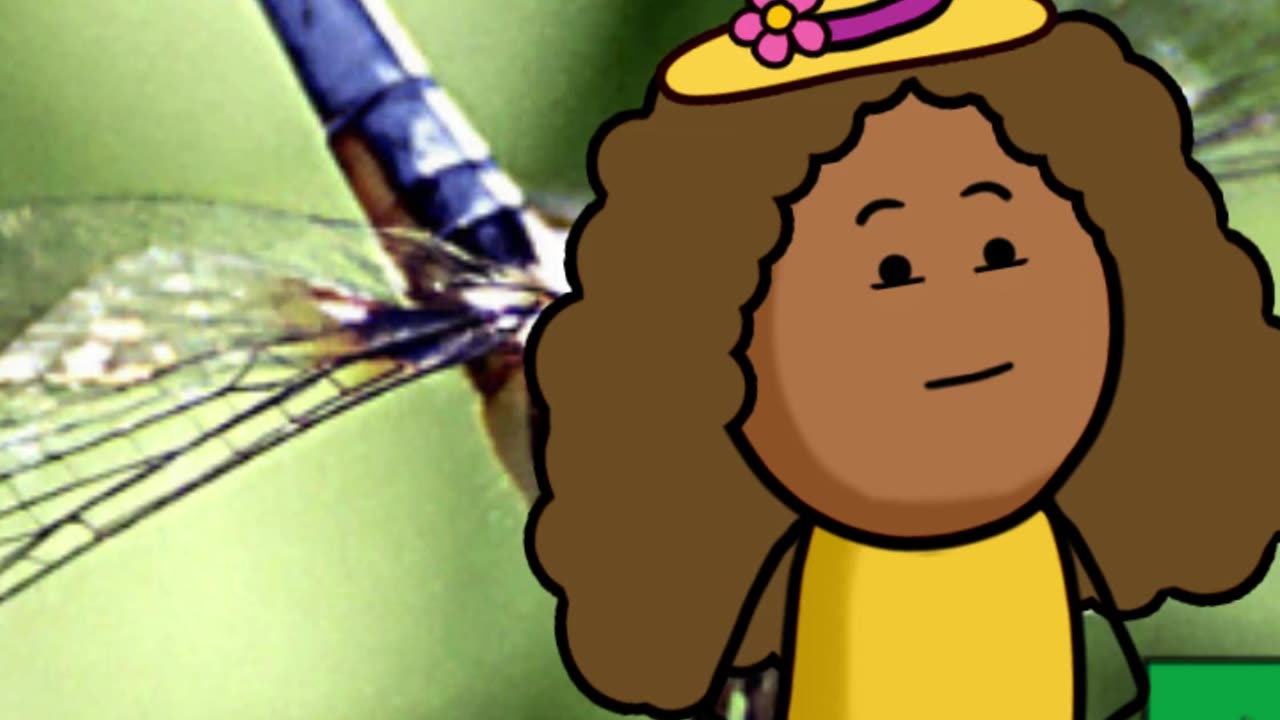 o-picapau-e-o-pinto.mp4