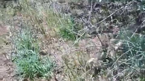 Ukraine war raw footage 5/31/25