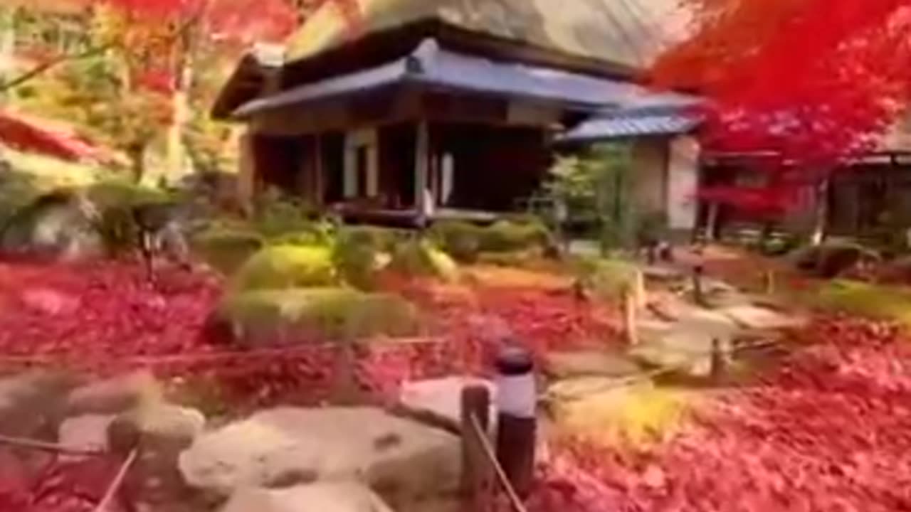 wonders of the world