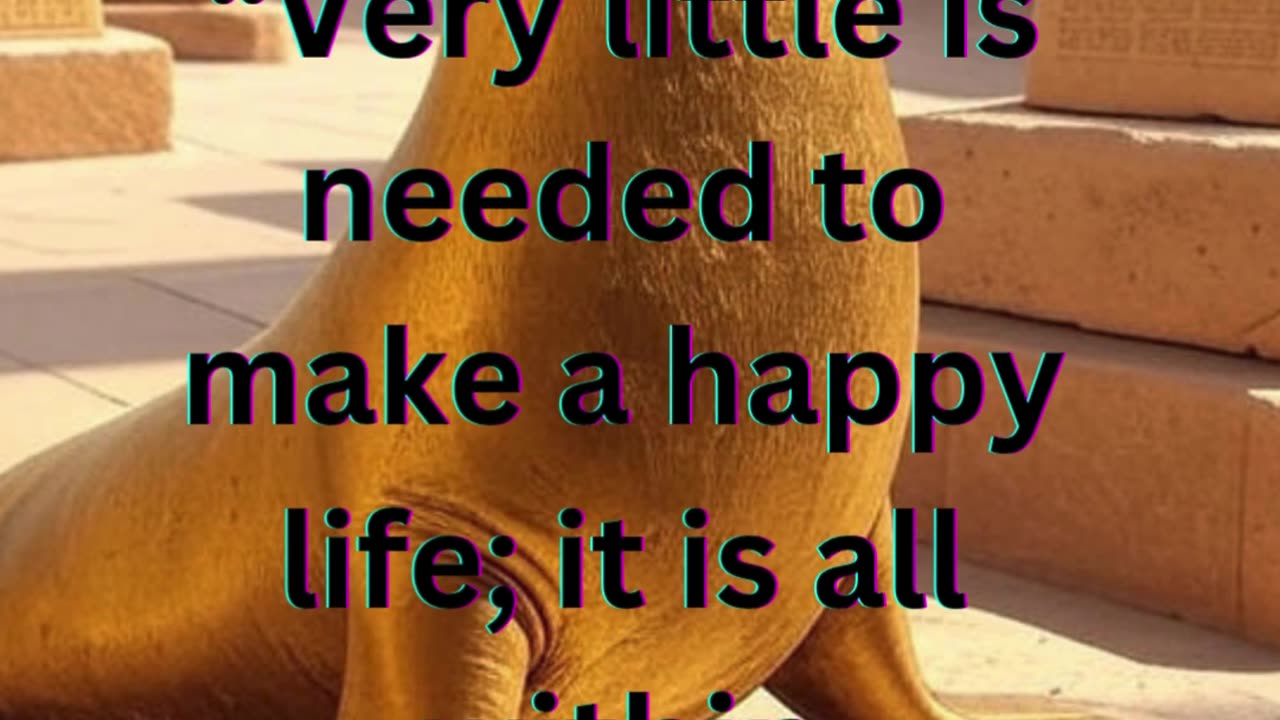very little is needed to make happy life... I motivation I wisdom