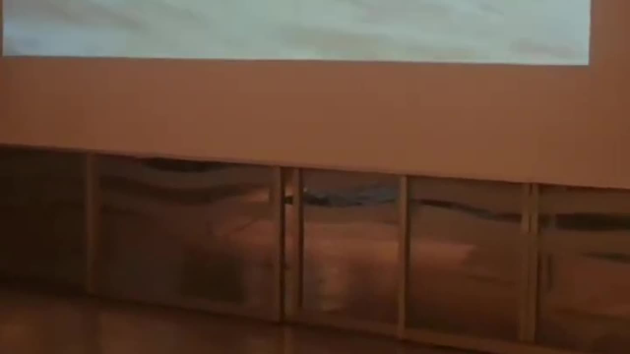 Oslo tikki museum tour