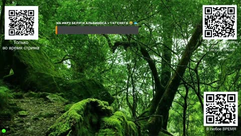 Наша жизнь в Ебанариуме сегодняшнего дня СТРИМ