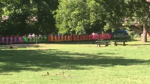 Jungle Train