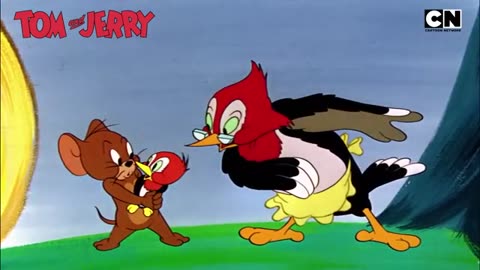 "Tom and Jerry in the Hollywood Bowl"