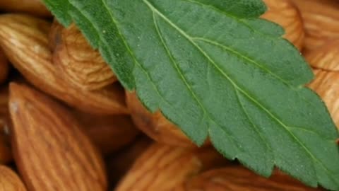 🌰 Eat Smart! How Almonds Supercharge Your Brainpower 🌟