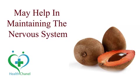 Sapote: The Creamy Fruit You Didn’t Know You Needed