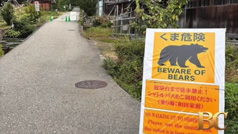 Japan deploys the military to counter a surge in bear attacks