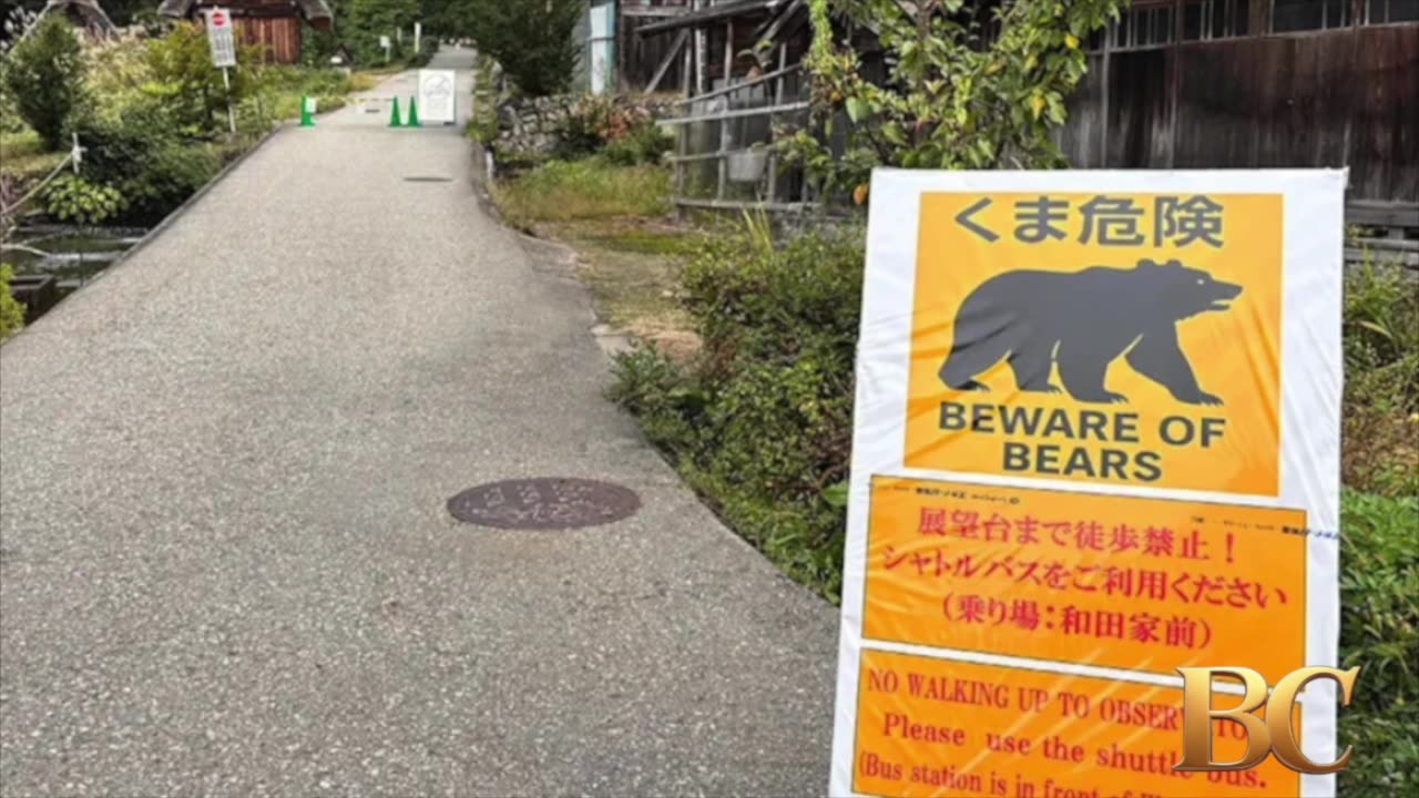 Japan deploys the military to counter a surge in bear attacks