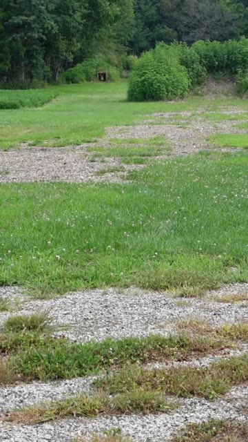 FN Reflex at 100 Yards