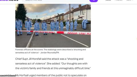 Dogwalker stabbed by Muslim immigrant