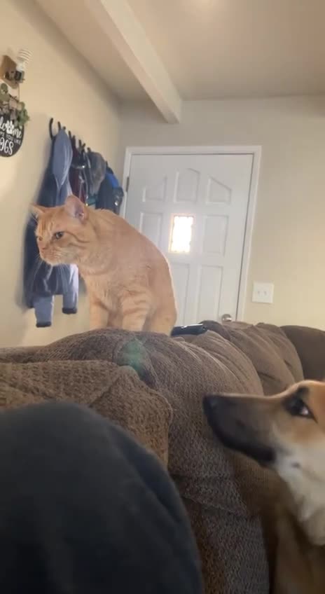 You can’t ignore me 😊