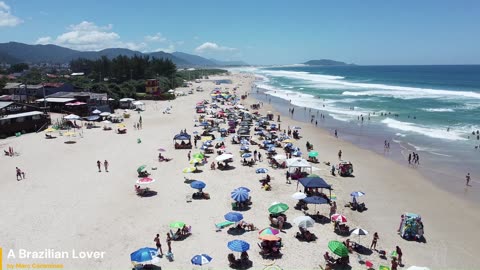 A Brazilian Lover