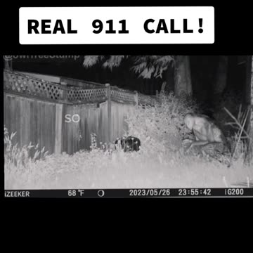 my_doodzy - aliens in backyard #alien #ufo