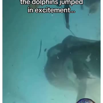 Do you know how powerful dolphins and other marine life can be beneficial to human health