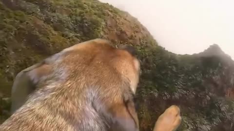 😂🚀 You Won't Believe This Genius Stunt! | FunFM